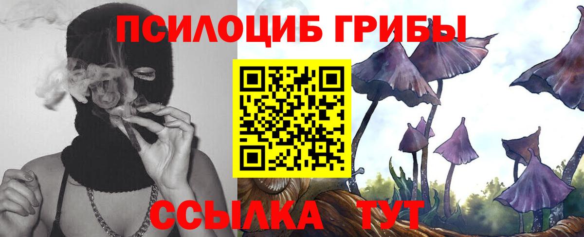 Кисловодск  Галлюциногенные грибы Cubensis  Галлюциногенные грибы GOLDEN TEACHER  купить наркотик  Вход с VPN 